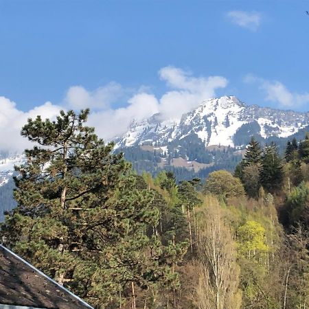 Grosszuegige Ferienwohnung Fuer 4 Personen Interlaken Exterior photo